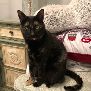 Meet your Posher, Bridgette